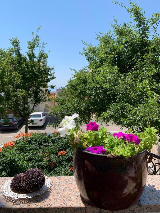 Apartment Mirjana Makarska Kültér fotó